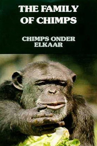 Movie poster for The Family of Chimps (1984)