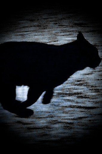 Movie poster for A Black Cat Escapes (2025)