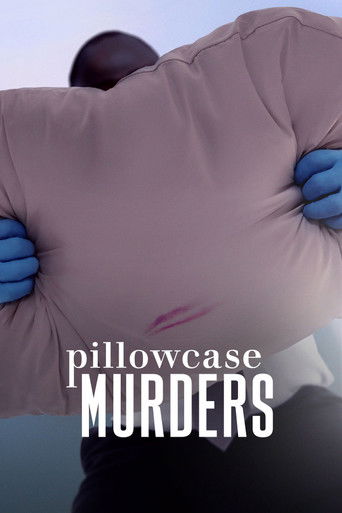 Series poster for Pillowcase Murders (2024)