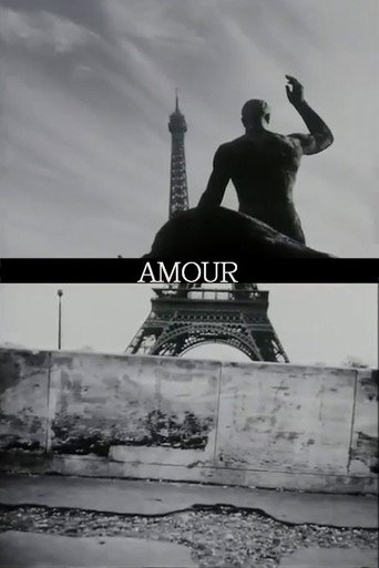 Movie poster for Amour (1997)