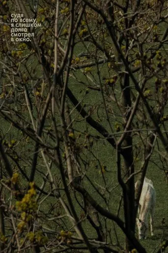 Seems Like I've Been Looking Through The Window For Too Long poster