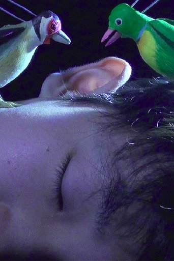 Movie poster for The Princess and the Magic Birds (2021)