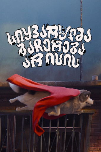 Love Does Not Stop poster