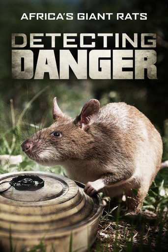 Movie poster for Detecting Danger: Africa's Giant Rats (2019)