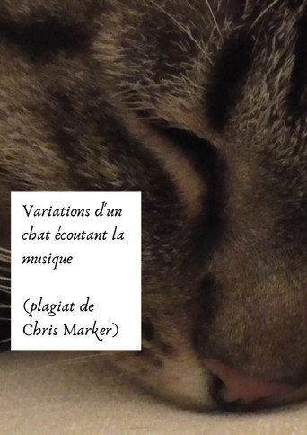 Movie poster for Variations of a cat listening to music (Chris Marker plagiarism) (2024)