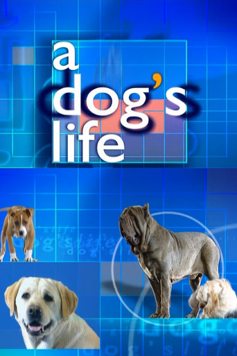 A Dog's Life poster
