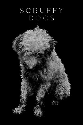 Movie poster for Scruffy Dogs (2023)