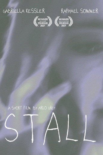 Movie poster for Stall (2021)