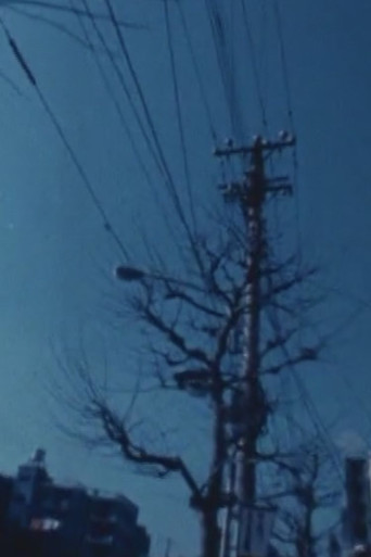 Movie poster for Passing By Landscapes (1976)