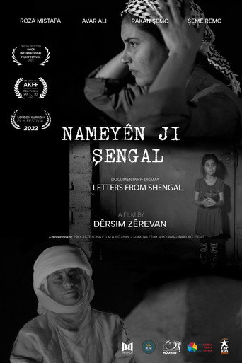 Movie poster for Letters from Shengal (2022)