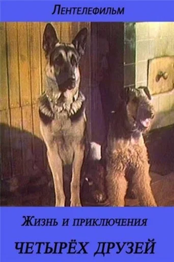 Movie poster for The Life and Adventures of Four Friends 3/4 (1981)