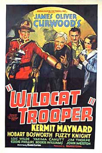 Movie poster for Wildcat Trooper (1936)