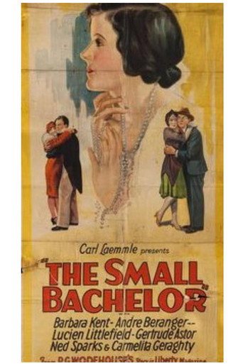 Movie poster for The Small Bachelor (1927)