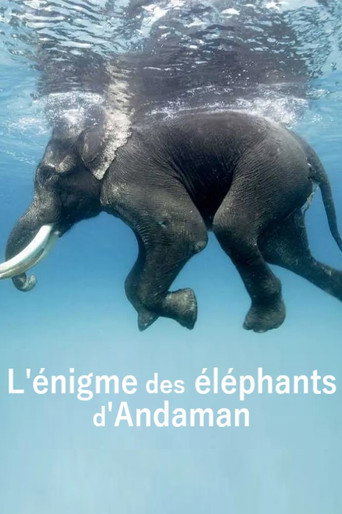 Movie poster for L'énigme des éléphants d'Andaman (2023)