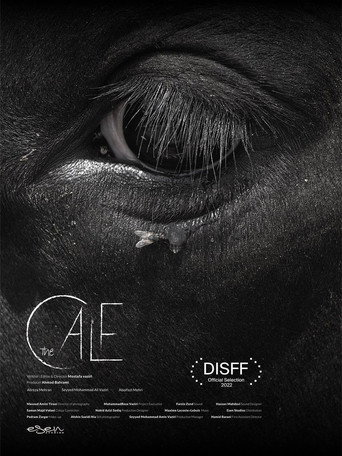 The Calf poster