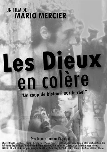 Movie poster for Les dieux en colère (1970)