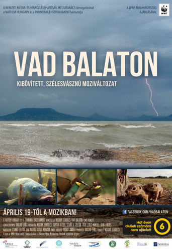 Movie poster for Balaton (2018)