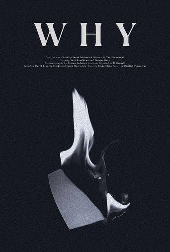 Movie poster for WHY (2022)