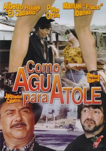 Movie poster for Como agua para atole (1996)