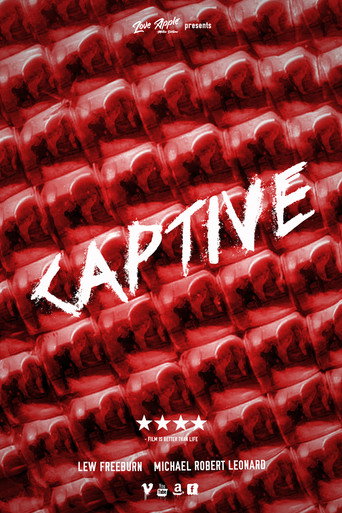 Movie poster for Captive (2020)