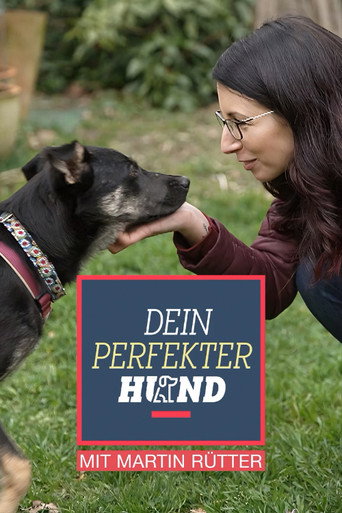 Series poster for Dein perfekter Hund (2024)