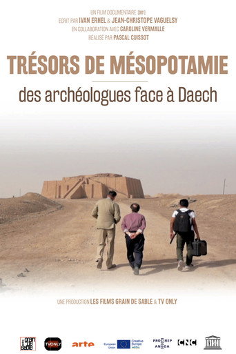 Movie poster for Trésors de Mésopotamie : Des archéologues face à Daech (2021)