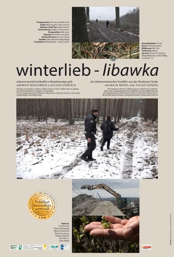 Movie poster for winterlieb - libawka (2020)