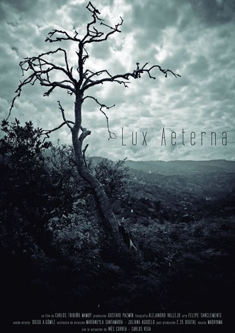 Movie poster for Lux Aeterna (2013)