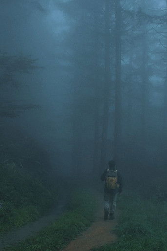 Men Wandering in the Mountain poster