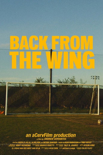 Movie poster for Back from the Wing (2025)