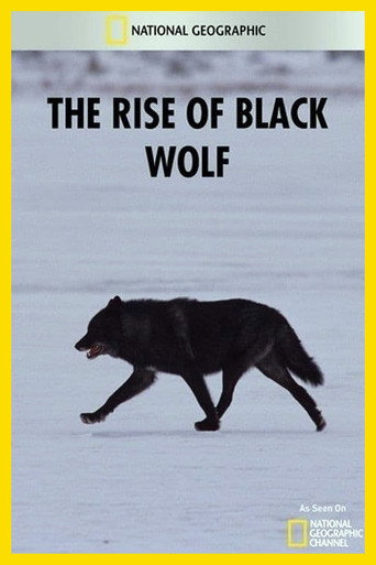 Movie poster for The Rise of Black Wolf (2010)