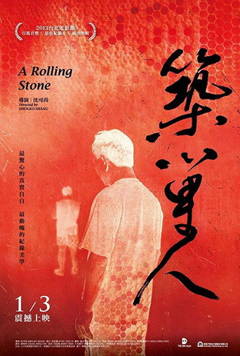 Movie poster for A Rolling Stone (2012)