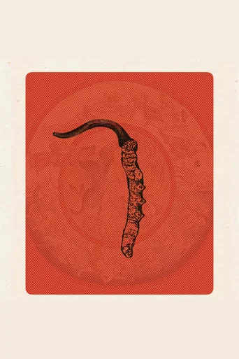 Movie poster for Himalayan Gold