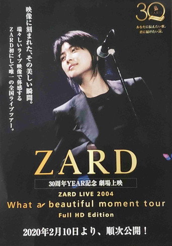 Movie poster for What a beautiful moment (2005)