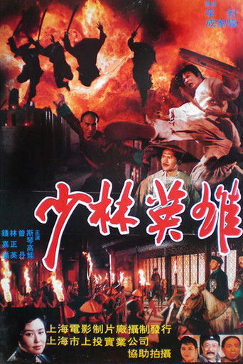 Heroes of Shaolin poster