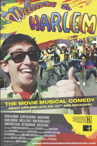 Welcome to Harlem poster