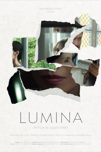 Lumina poster