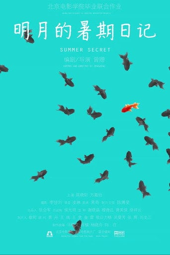 Movie poster for Summer Secret (2014)