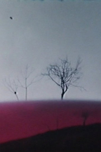 Movie poster for Ho fatto un film a Varese 1° (1970)