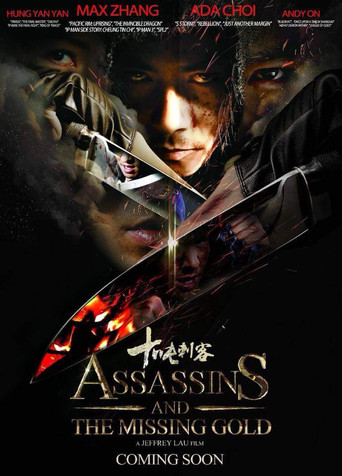 Movie poster for Assassins and the Missing Gold
