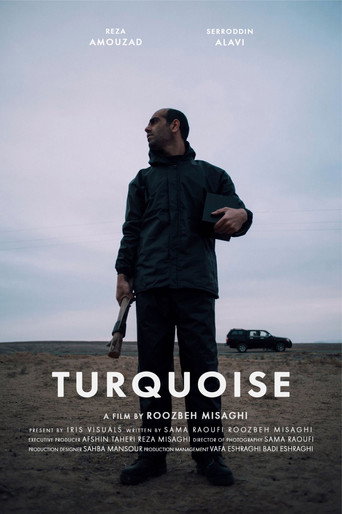 Movie poster for Turquoise (2019)