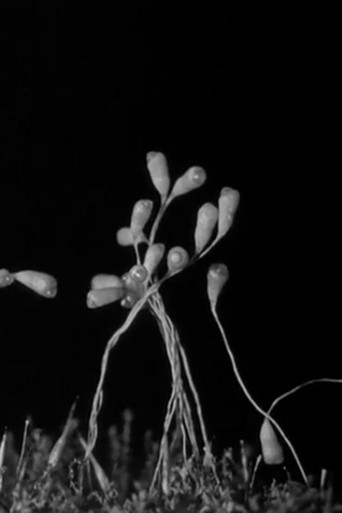Movie poster for Gathering Moss (1933)