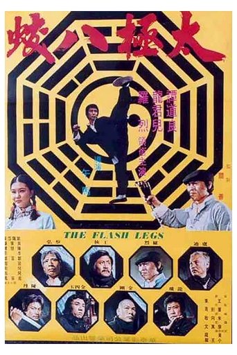Movie poster for Shaolin Deadly Kicks (1977)