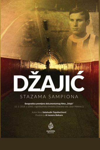 Movie poster for Dzajic (2017)