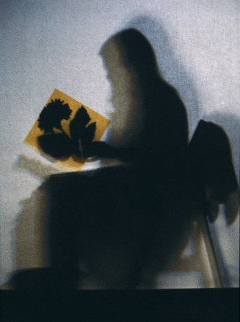 Movie poster for Lourdes Castro Shadows (1970)