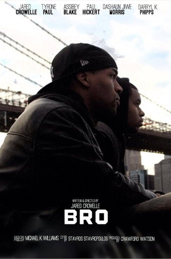 Movie poster for Bro (2014)