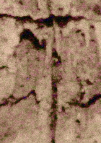 Movie poster for Ruido; Rauca (2020)