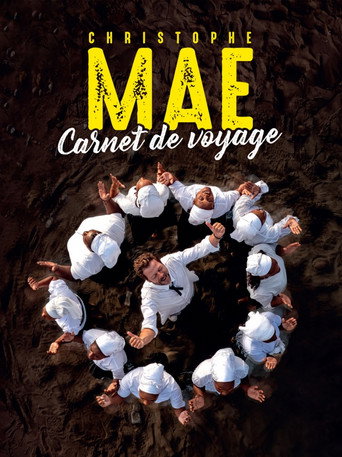 Movie poster for Christophe Maé - Carnet de voyage (2024)