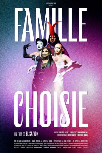 Movie poster for Chosen Family (2025)