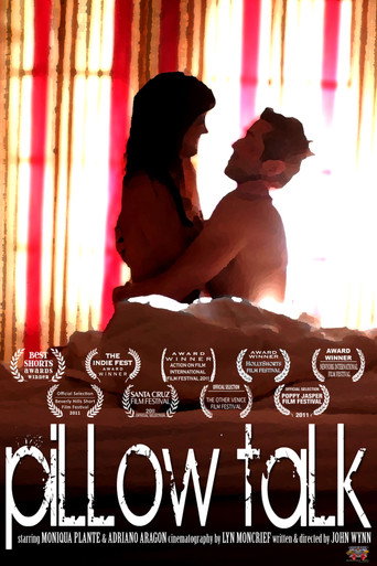Movie poster for Pillow Talk (2011)